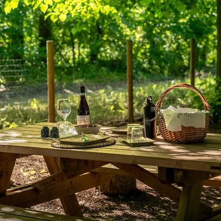 Gilda E I Suoi Amici 内维